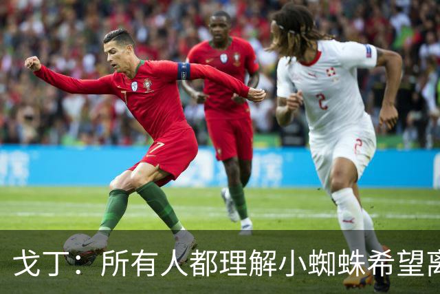 戈丁：所有人都理解小蜘蛛希望离队的想法，但他的处理方式做错了